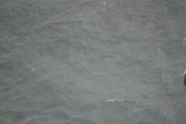 Missing Picture